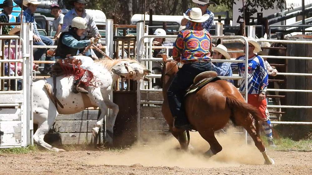 bronco saddle