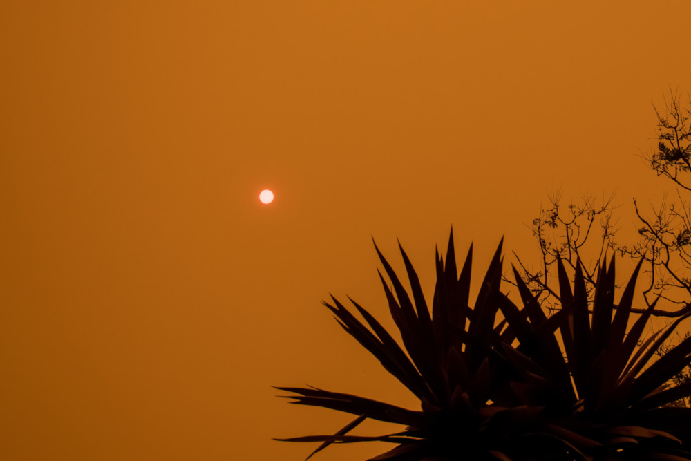 bushfire smoke