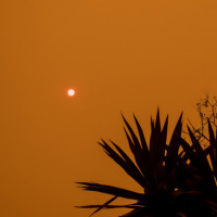 bushfire smoke