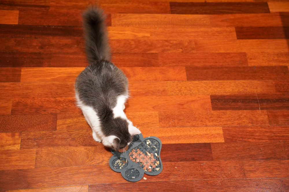 cat lick mat