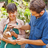 couple with puppy