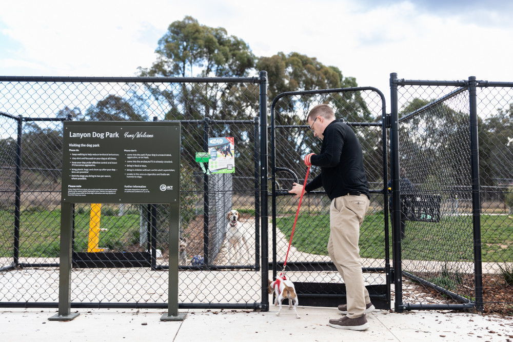 dog park puppy socialising