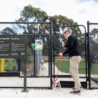 dog park puppy socialising