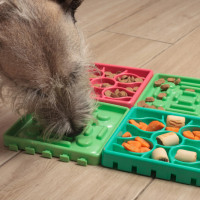 dog puzzle feeder