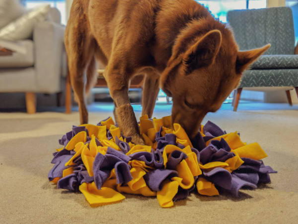 dog snuffle mat