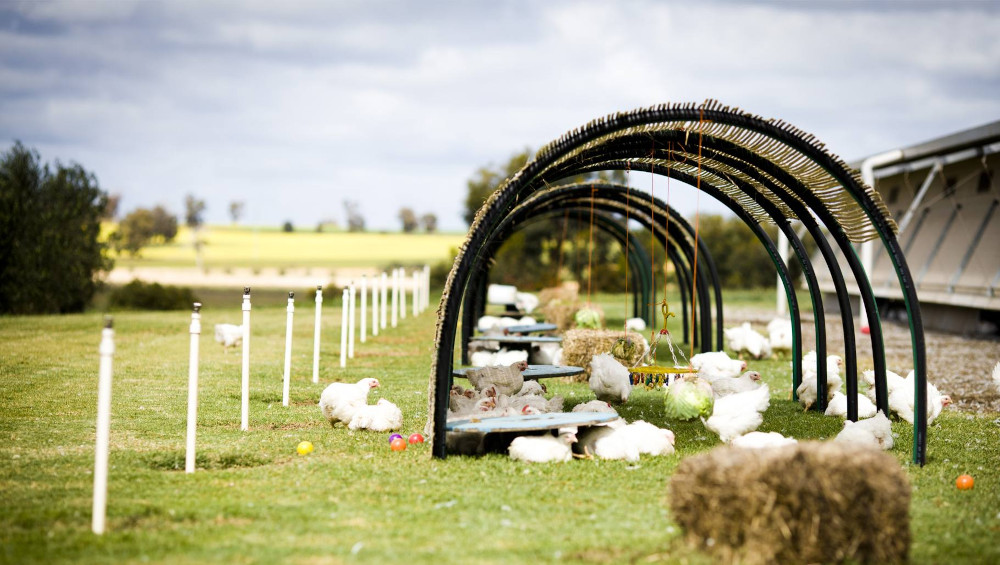 environmental enrichment farm