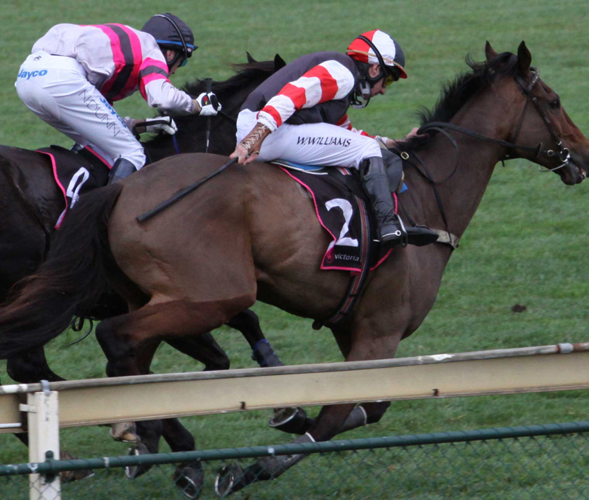 hastamanyana whip marks padded whip