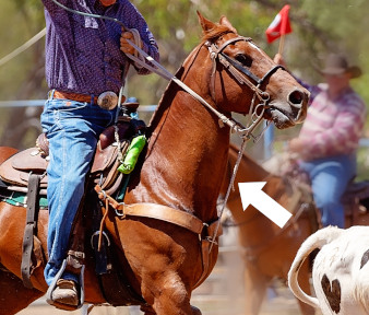 horse tie down arrow