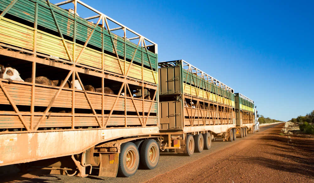 livestock transport outback