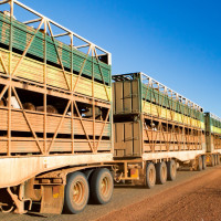 livestock transport outback