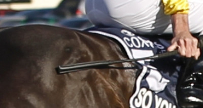 so you think whipped cox plate