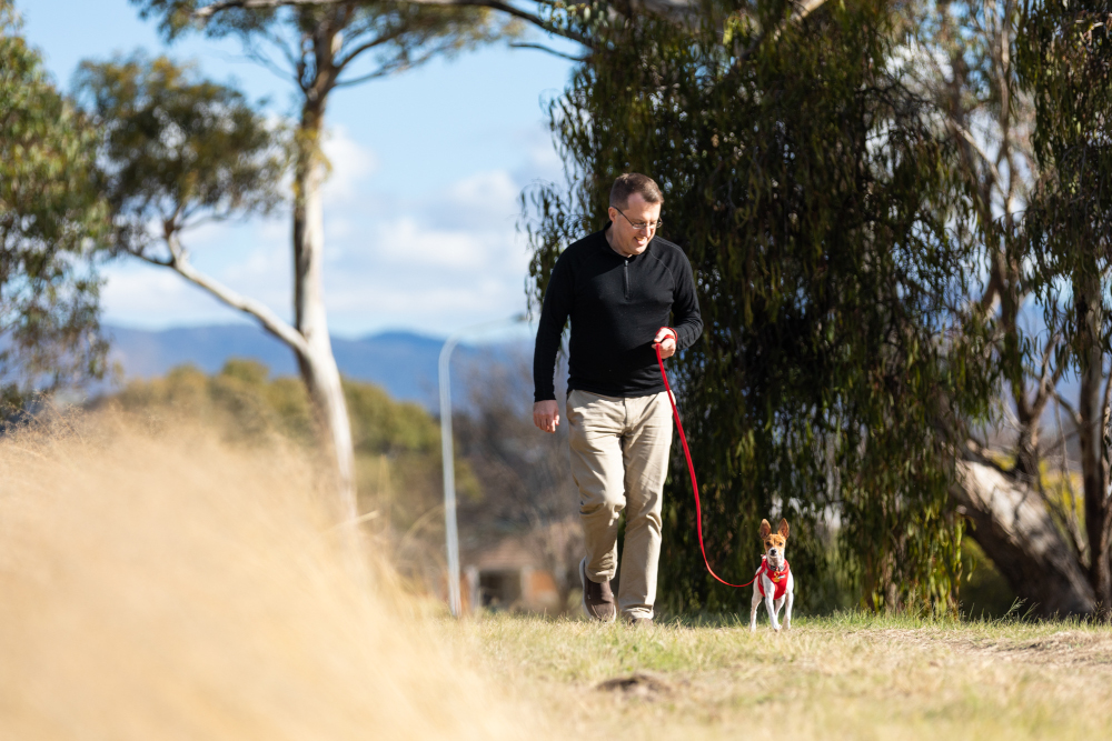 walking puppy leash