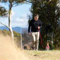 walking puppy leash
