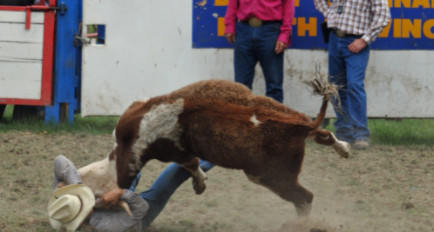 Rodeo example one