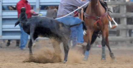 Rodeo example two