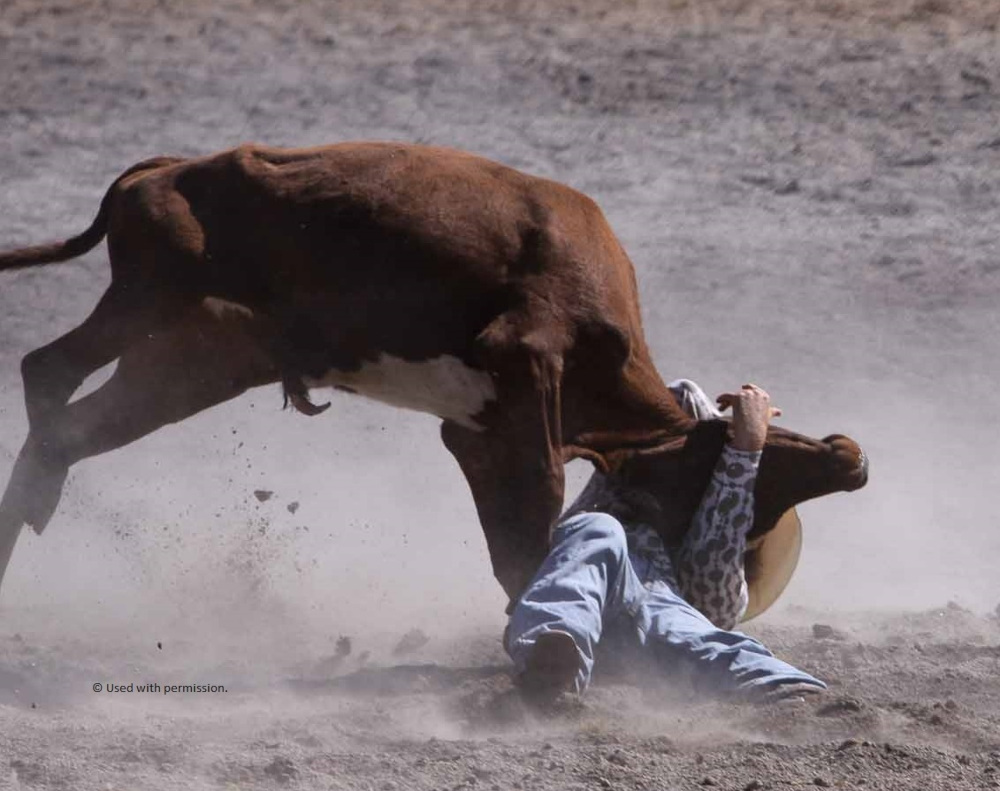 Steer wrestling