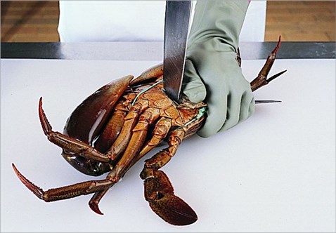 crab-kill-with-knife