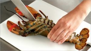 What is the most humane way to kill crustaceans for human consumption ...