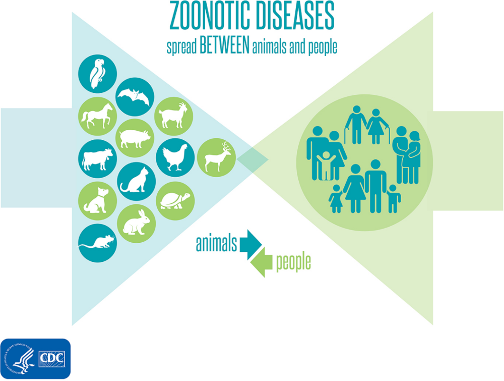 Zoonotic diseases diagram CDC