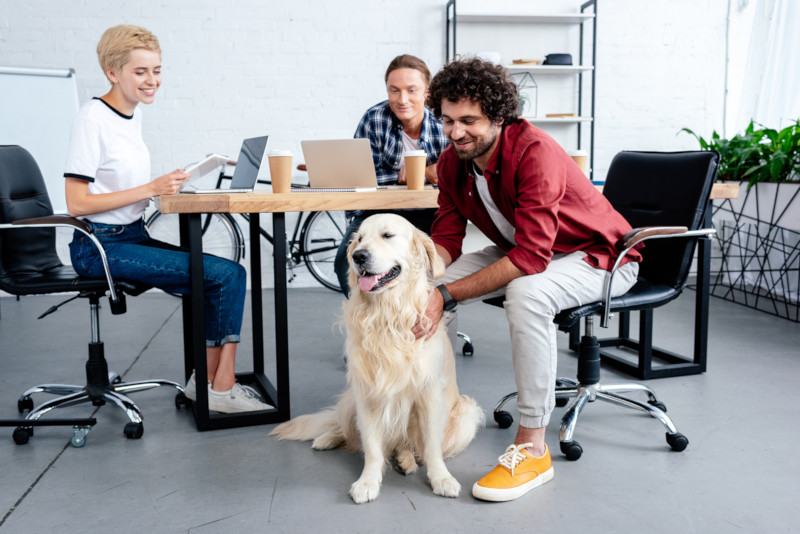 should you bring your dog to work