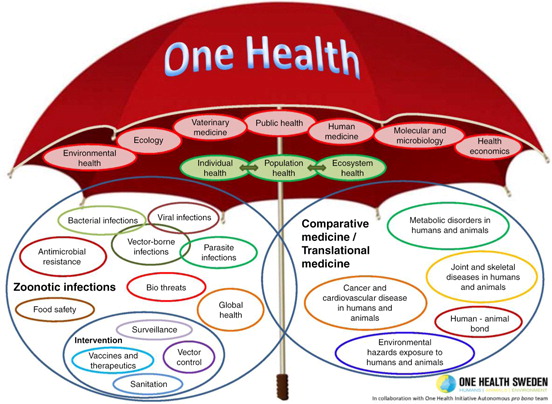 One Health Diagram