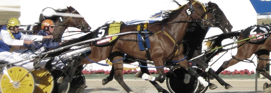 Harness racing