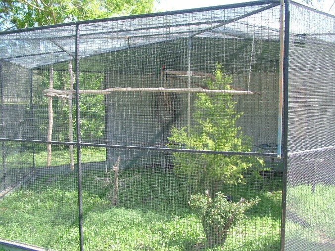 Parrot enclosure clearance