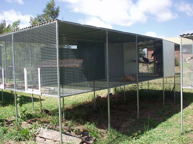 Large enclosure deals for birds