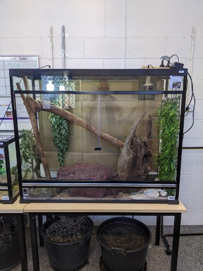 Small cheap snake enclosure