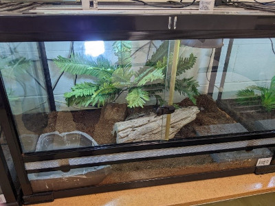 Indoor enclosure with hotsell heat source for reptiles