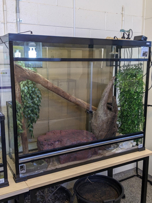 carpet python enclosure